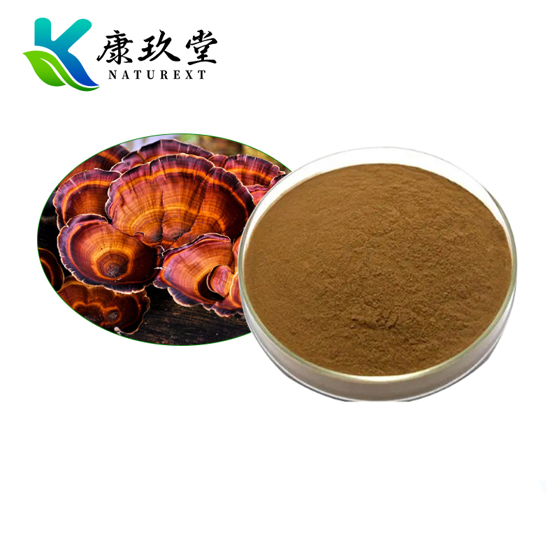 Organic Chondrus Ocellatus Holm Extract