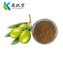 Olive Leaf Extract