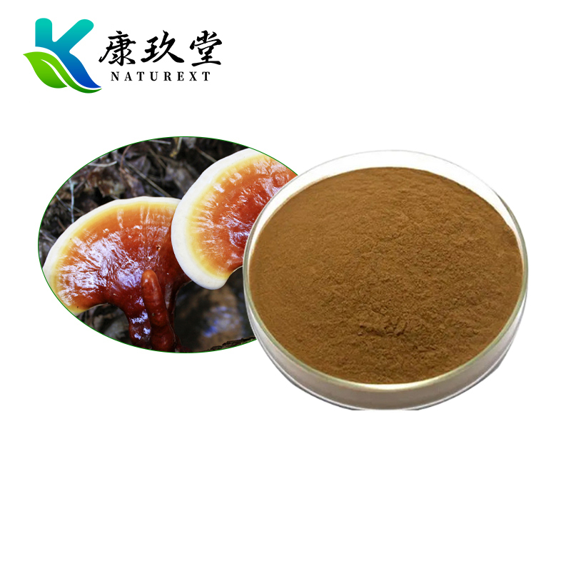 Organic Reishi Mushroom Extract