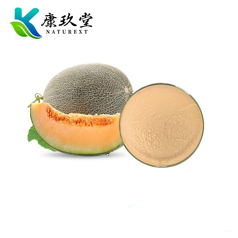 Cantaloupe powder