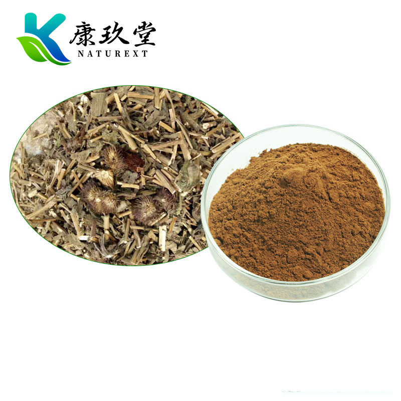 Echinacea Extract