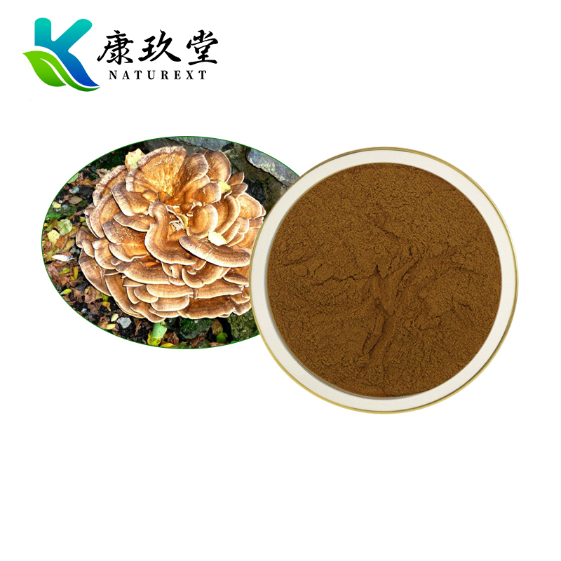 Maitake Mushroom Extract