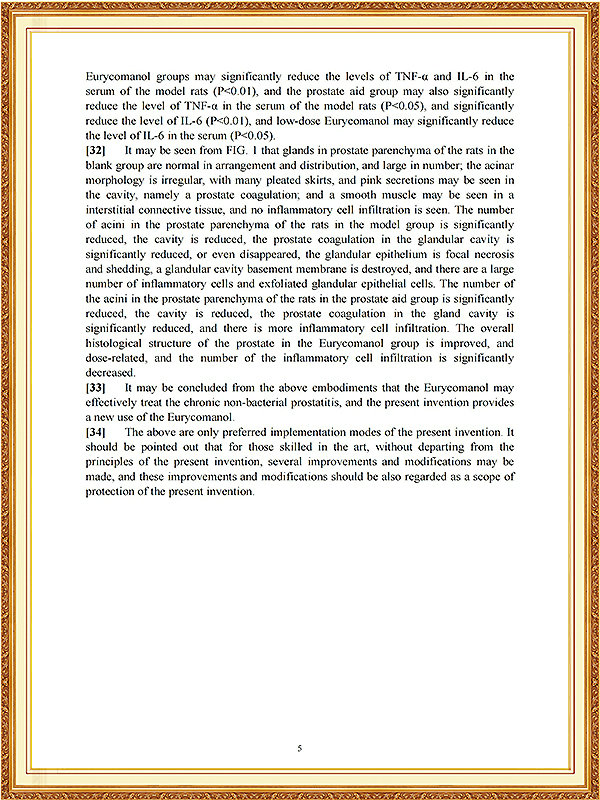 南非发明专利证书_07