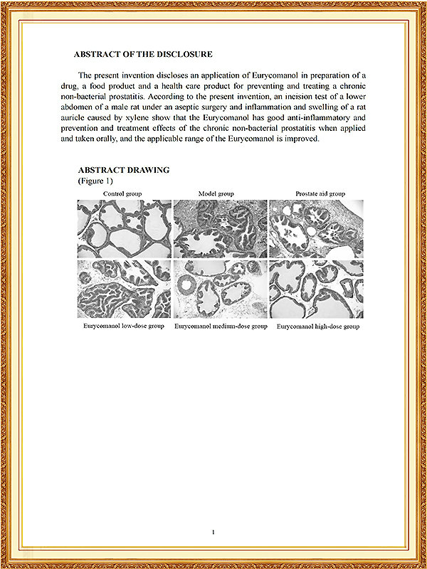 南非发明专利证书_10