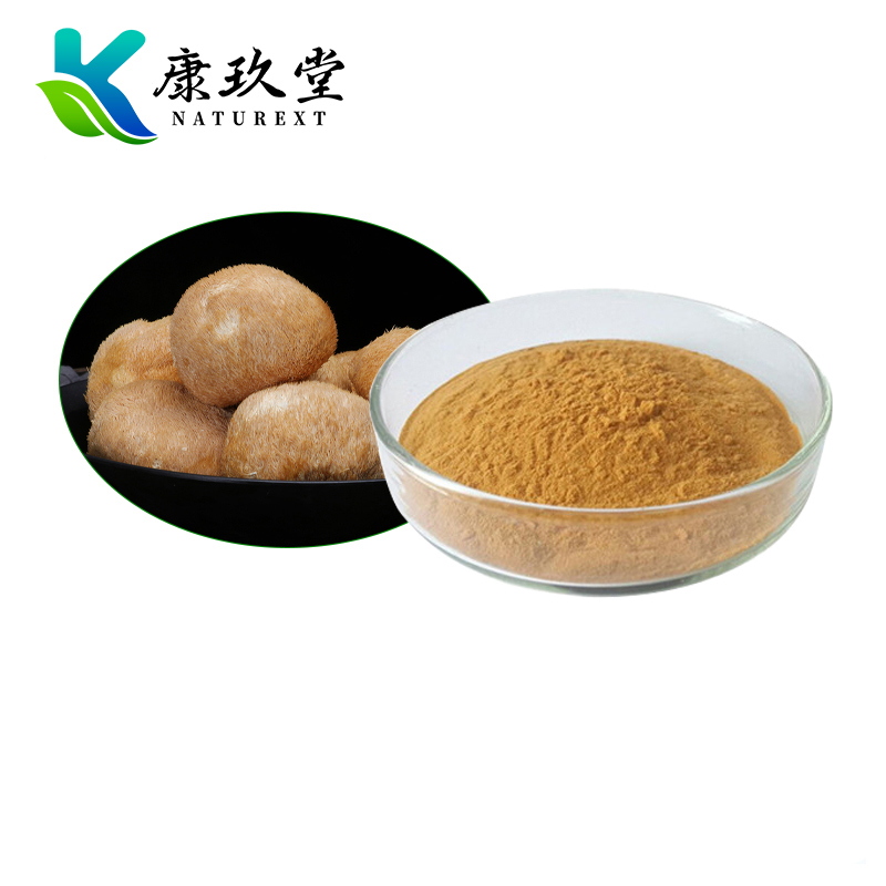 Organic Lion's Mane Mushroom Extract