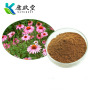 Echinacea Extract