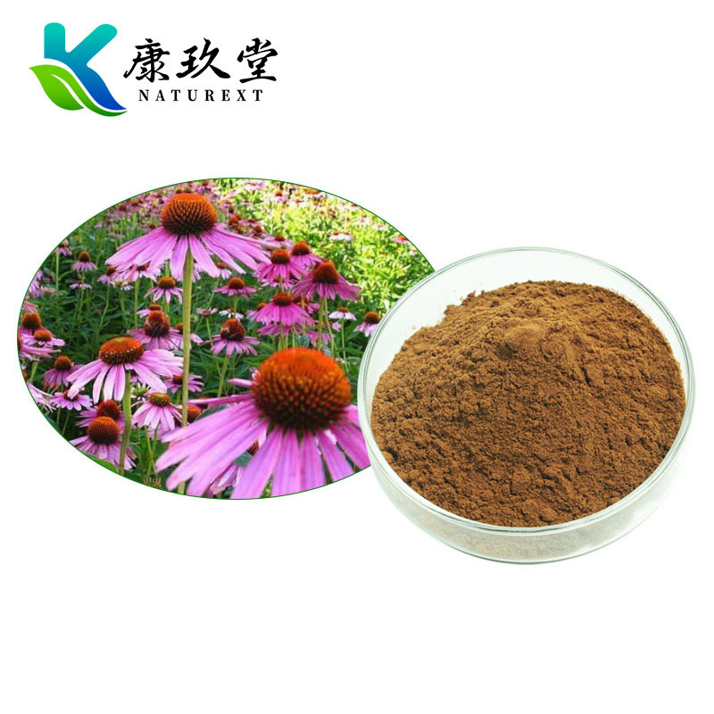 Echinacea Extract