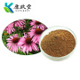 Echinacea Extract
