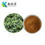 Ivy Leaf Extract