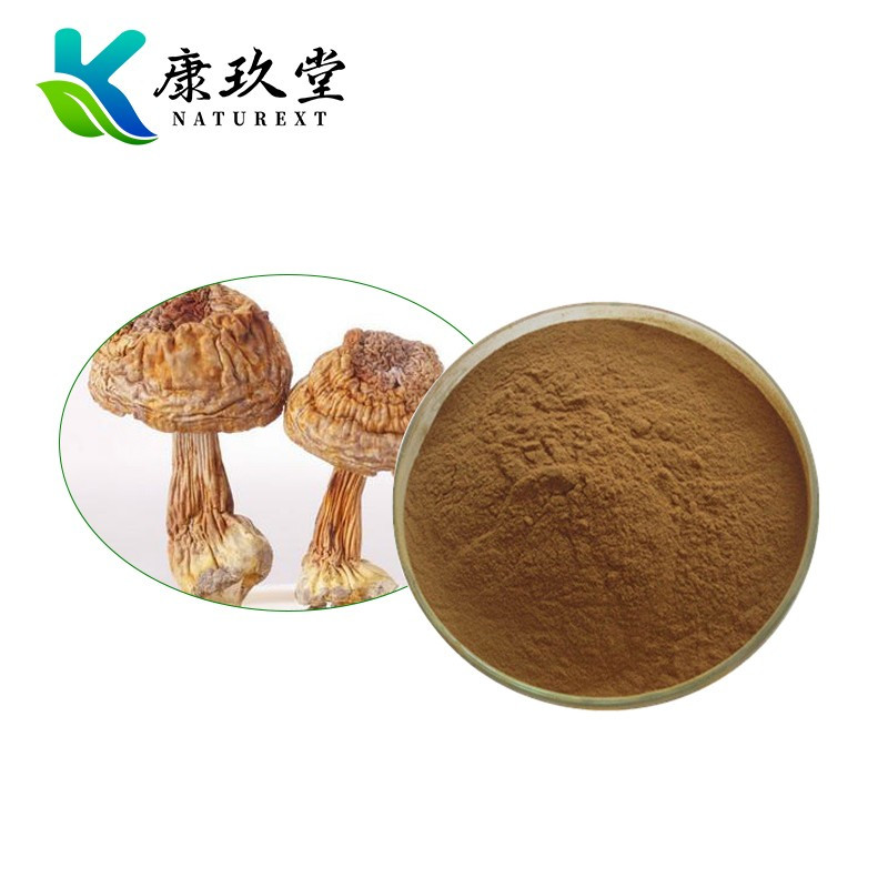 Organic Agaricus Blazei Extract