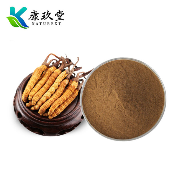 Cordyceps militaris Extract