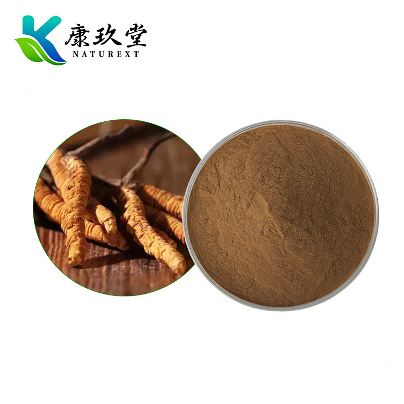 Cordyceps militaris Extract