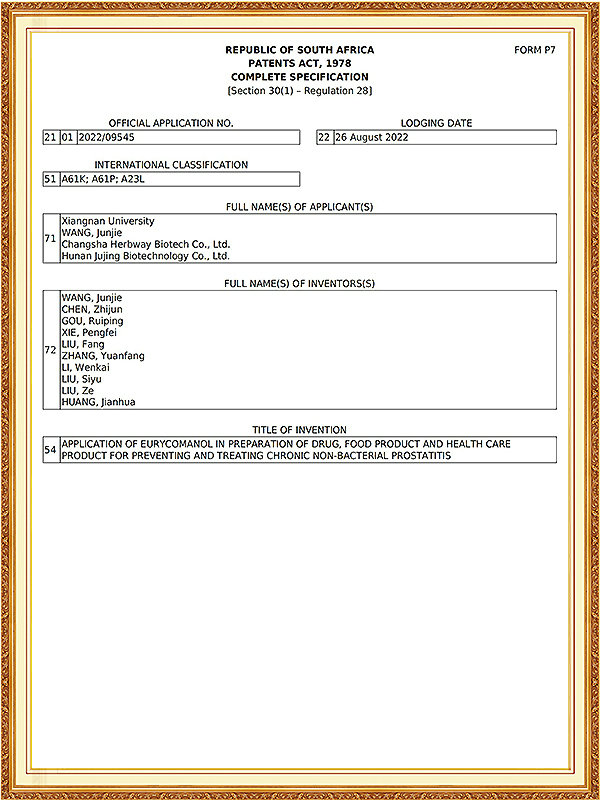 南非发明专利证书_02