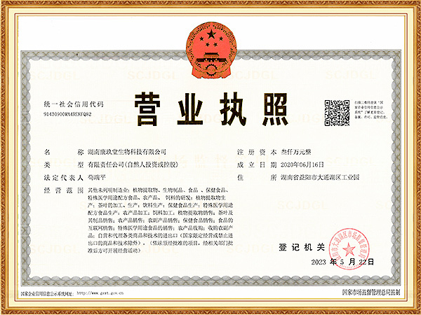 Business License