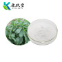 Stevia Extract