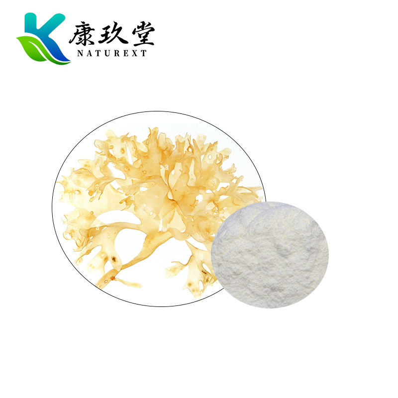 Organic Chondrus Ocellatus Holm Extract