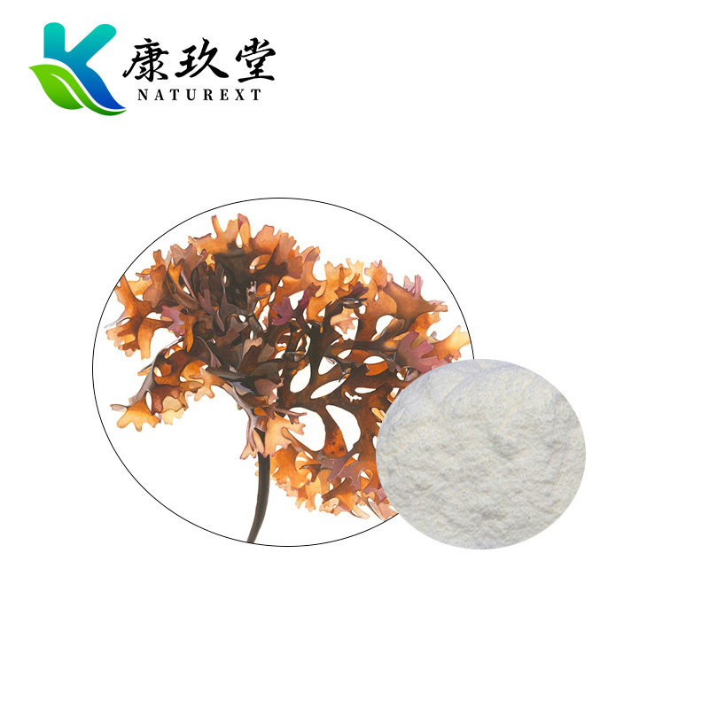 Organic Chondrus Ocellatus Holm Extract