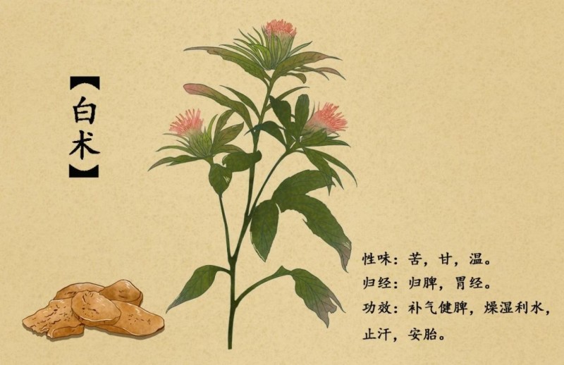 图片 3