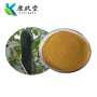Wax Gourd Peel Extract
