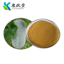Wax Gourd Peel Extract