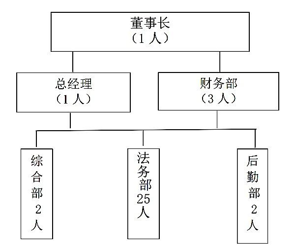 公司结构