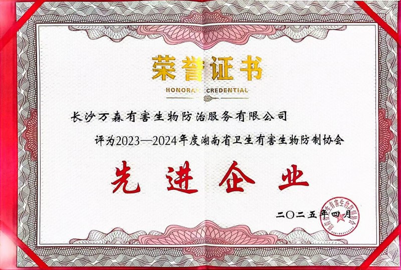 先进企业20250509134703