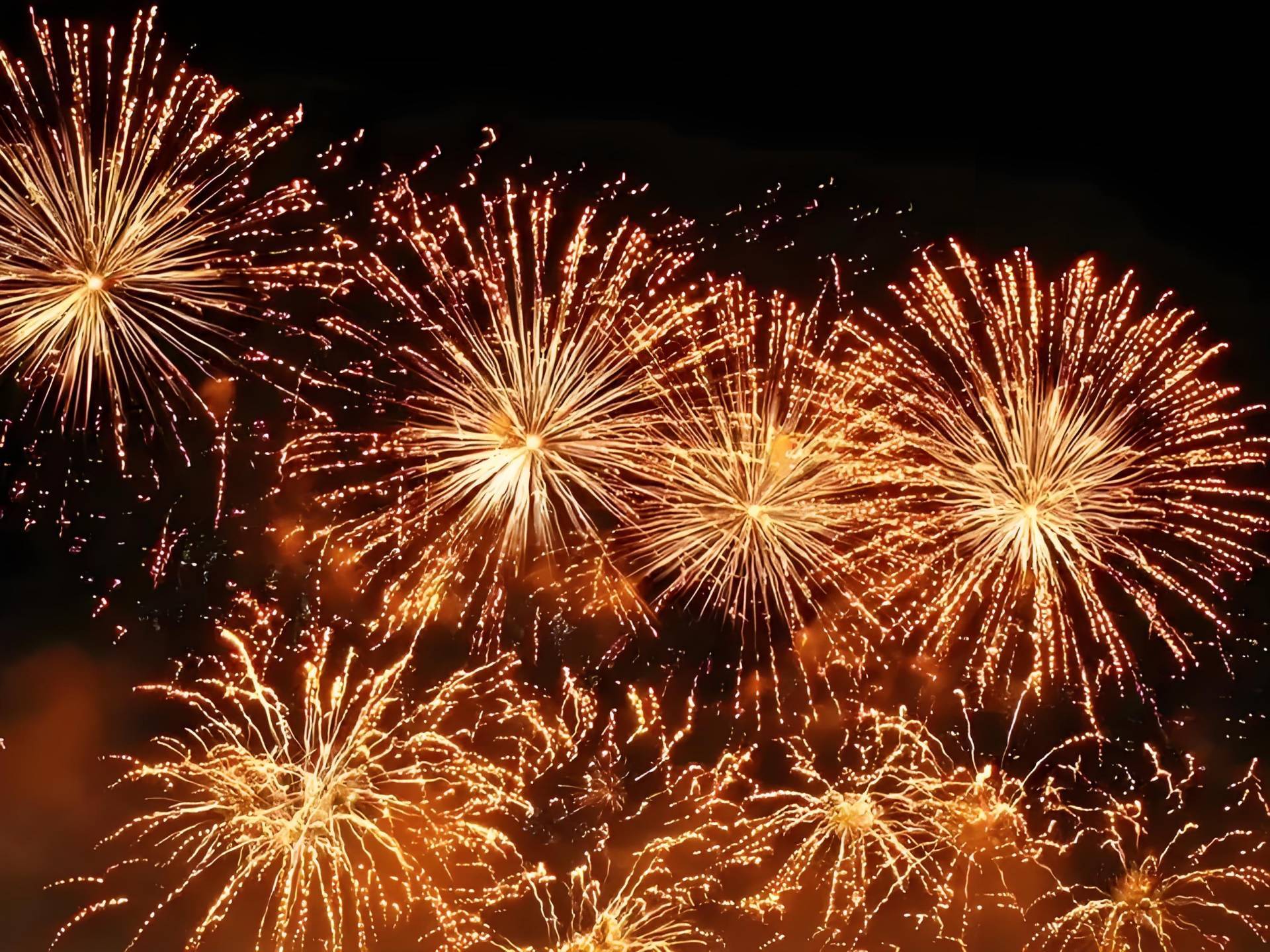 046591f8-ff0e-442c-8705-e48cc9 046591f8-ff0e-442c-8705-e48cc9