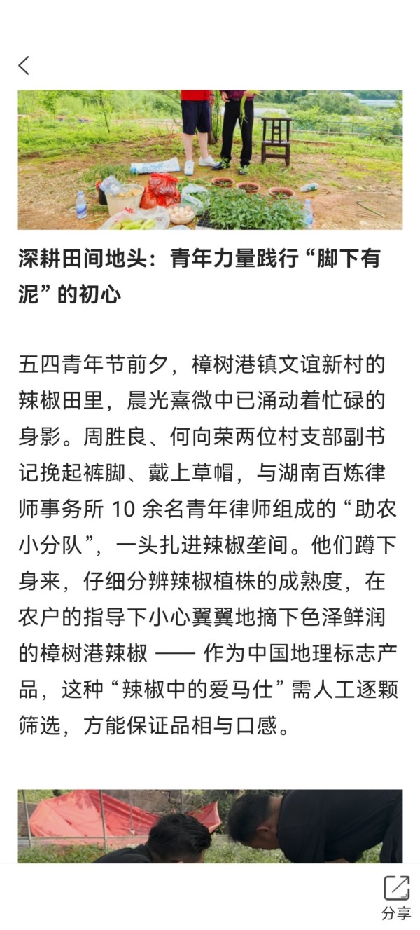 图片 8