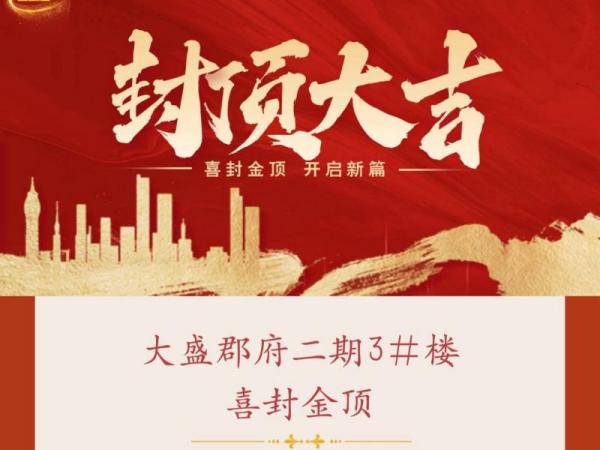 大盛郡府 二期3#樓 西封金頂