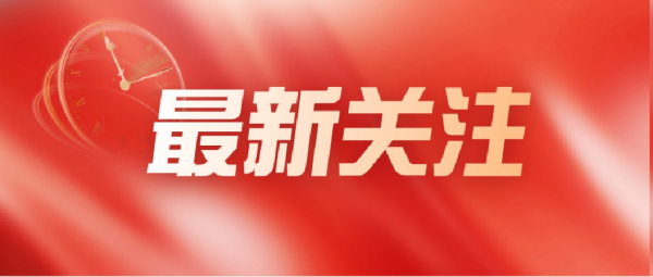 985 高校特色培养班和强基计划班，谁更胜一筹？