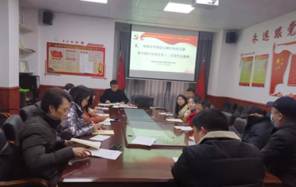 株洲市外国语石峰学校党支部积极开展党建专题学习
