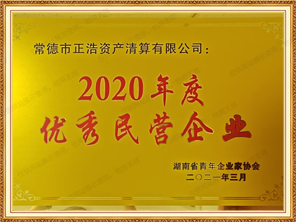 2020年度优秀民营企业