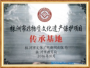 株洲市非物质文化遗产保护项目