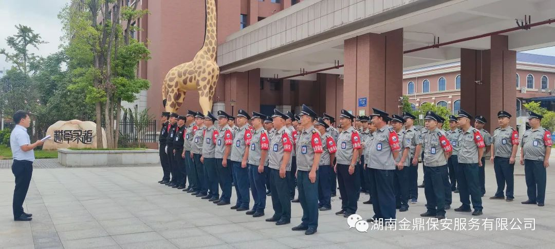 图片5