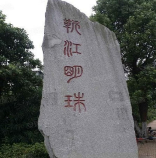 枫树园