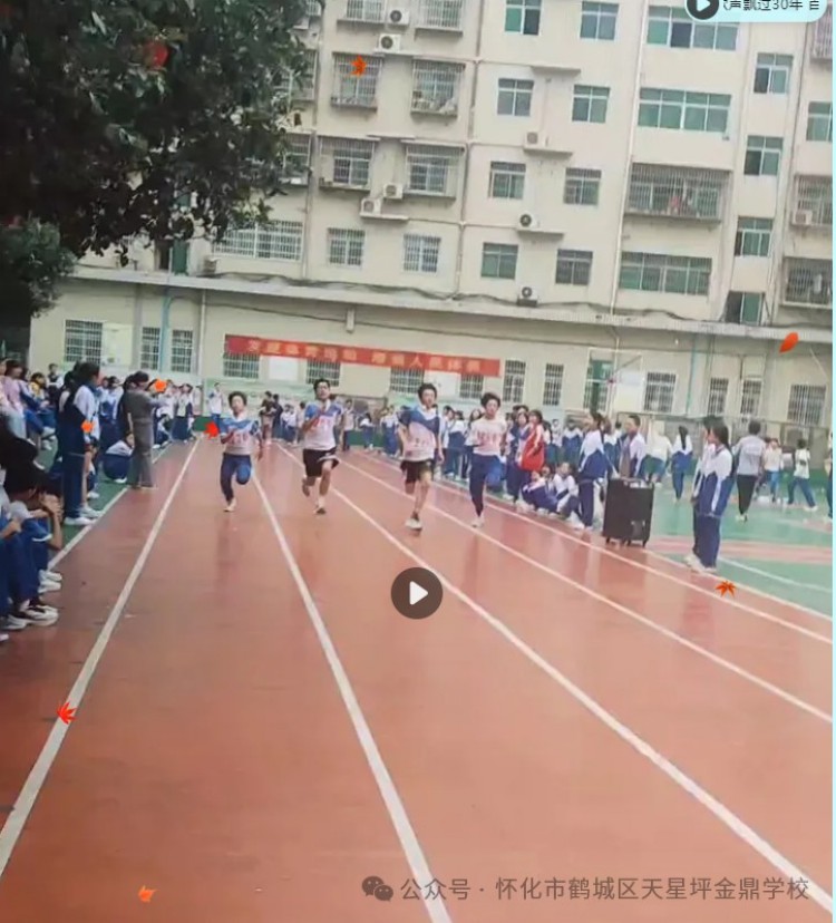 图片 18