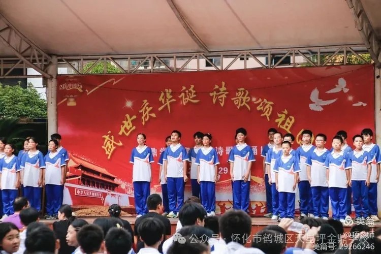 图片 12