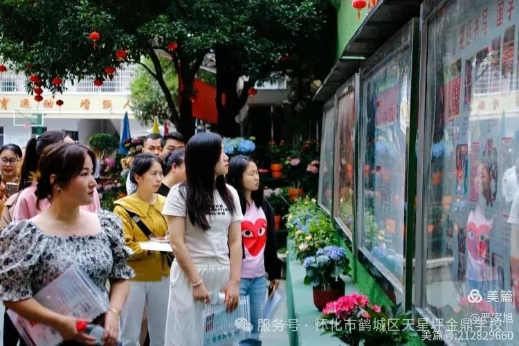 图片 11(1)