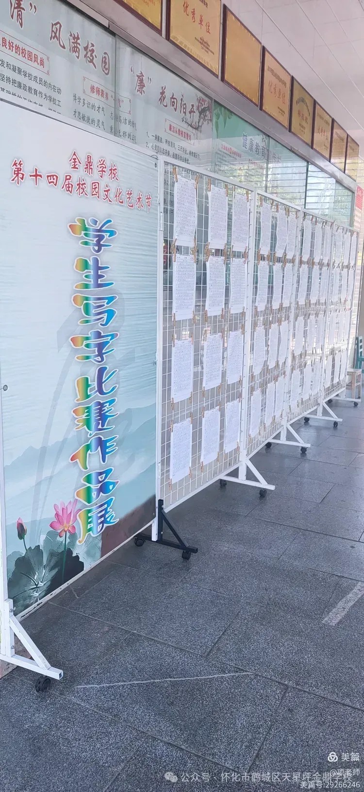 图片 43