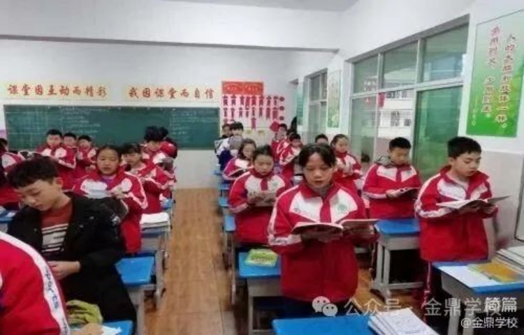 图片 13