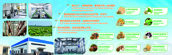 工厂图片1 工厂图片1