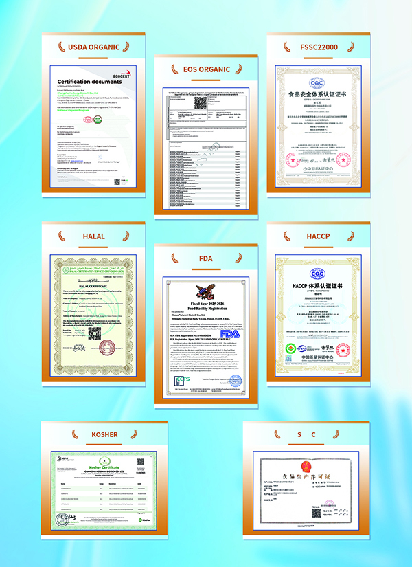 荣誉证书3 荣誉证书3