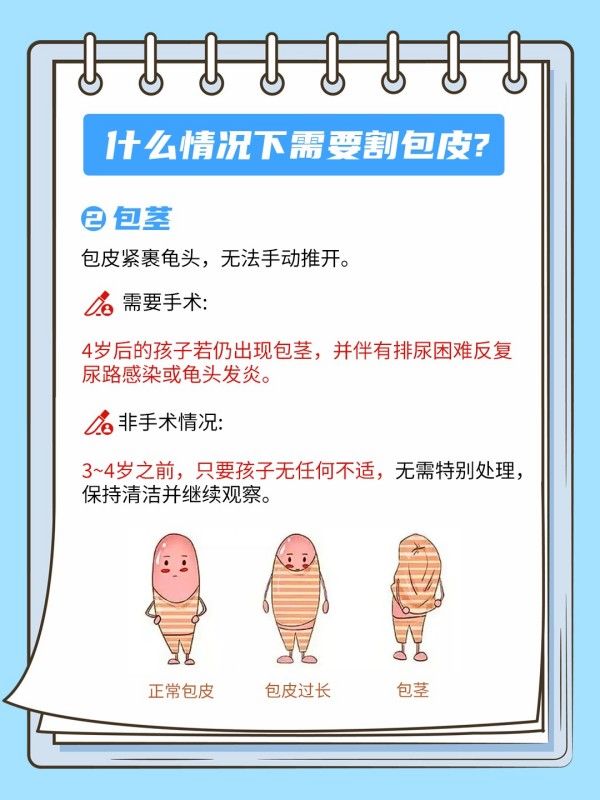 图片 3