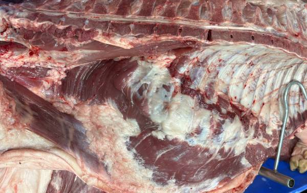 夜查猪肉牛肉供应链