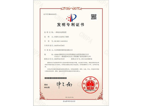 一种纯水处理装置
