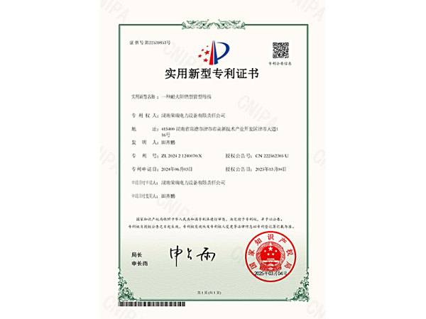 专利