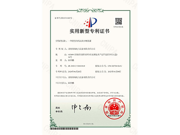 专利