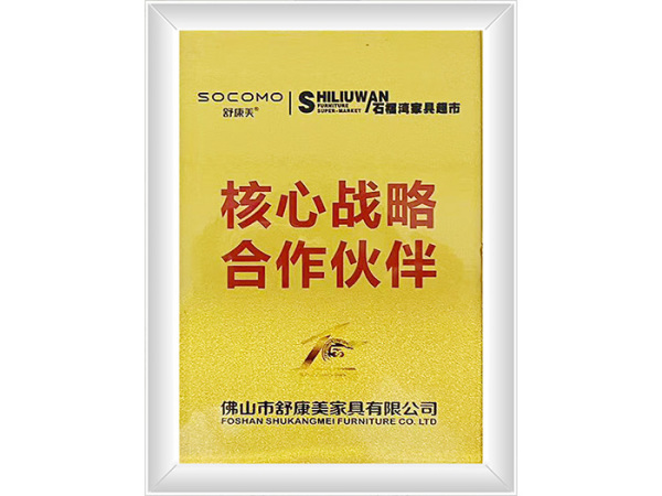 核心战略合作伙伴