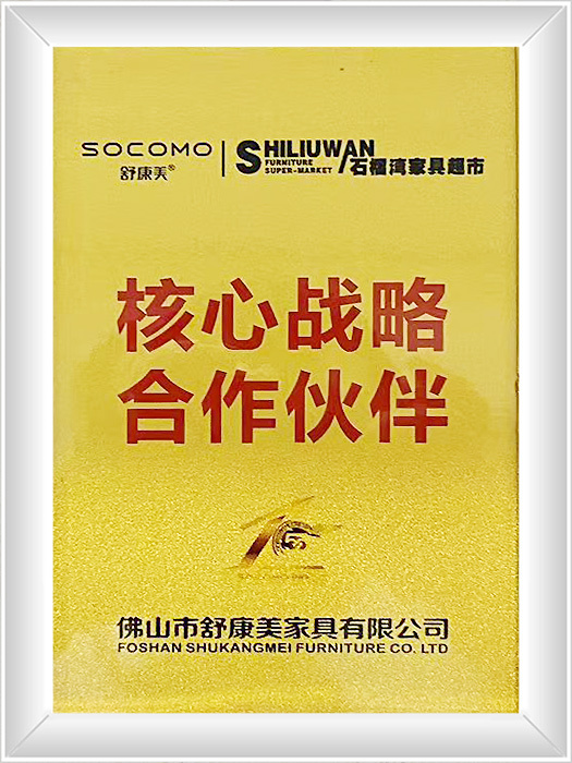 核心战略合作伙伴