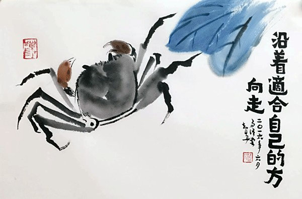 智丹小语┃沿着适合自己的方向走